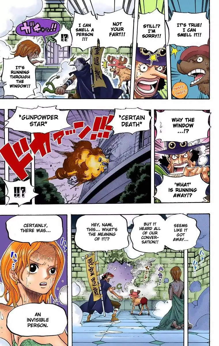 One Piece - Digital Colored Comics Chapter 446 17